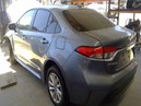 2024 TOYOTA COROLLA, SAGE, LE HYBRID MODEL, 1.8L,  AT,   Z26432. Z26432